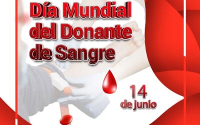 La donación de sangre es fundamental para salvar vidas

Día Mundial del Donante …