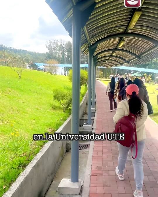 Nuestras mujeres del Proyecto Mujeres Emprendedoras Libres de Violencia  realiz…