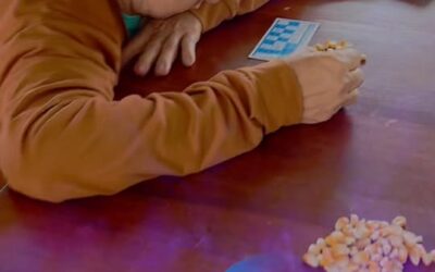 Adultos Mayores del Recinto San Pedro de Laurel realizaron la actividad de agric…