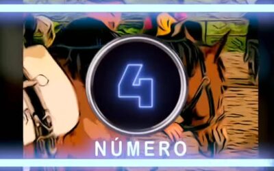 En el Centro de Rehabilitación Integral Terapéutico (CRIT) la sanación tiene cu…