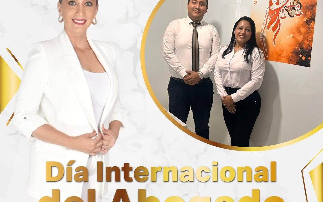 Día Internacional del Abogado | 3 de febrero

Hoy reconocemos la valiosa labor …