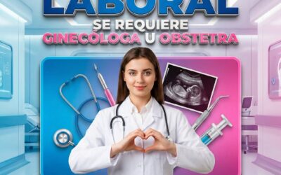 OFERTA LABORAL

La Empresa Pública Santo Domingo Construye requiere contratar l…