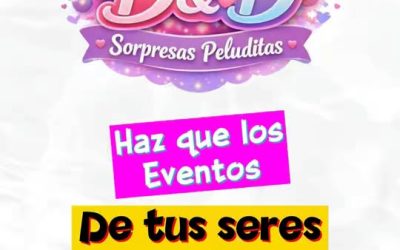 ¡Con esfuerzo y dedicación, los sueños sí se cumplen!

 Diana Viera es una muje…