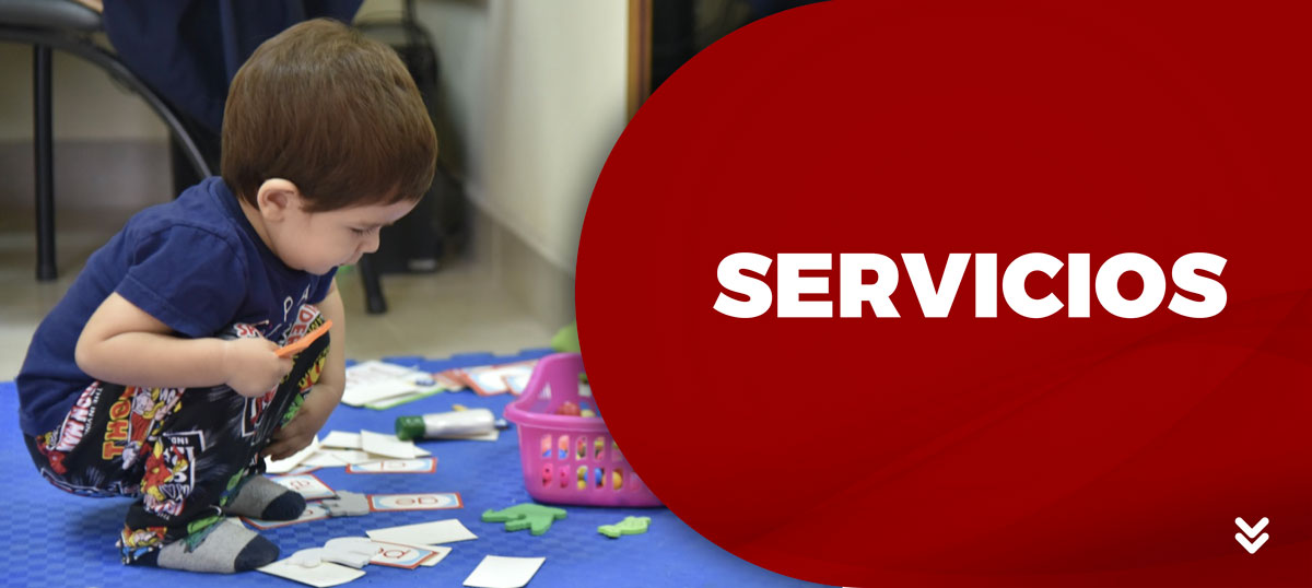 Servicios - Empresa Pública Santo Domingo Construye