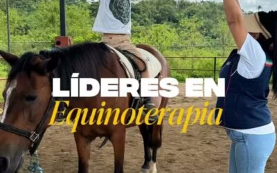 En el CRIT, la equinoterapia se convierte en una herramienta terapéutica para ac…