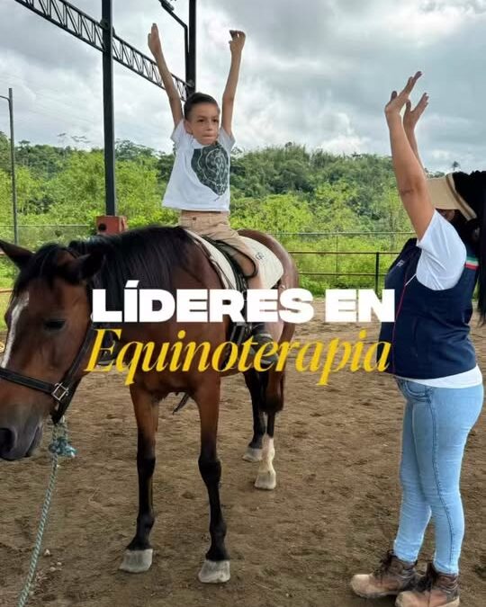 En el CRIT, la equinoterapia se convierte en una herramienta terapéutica para ac…